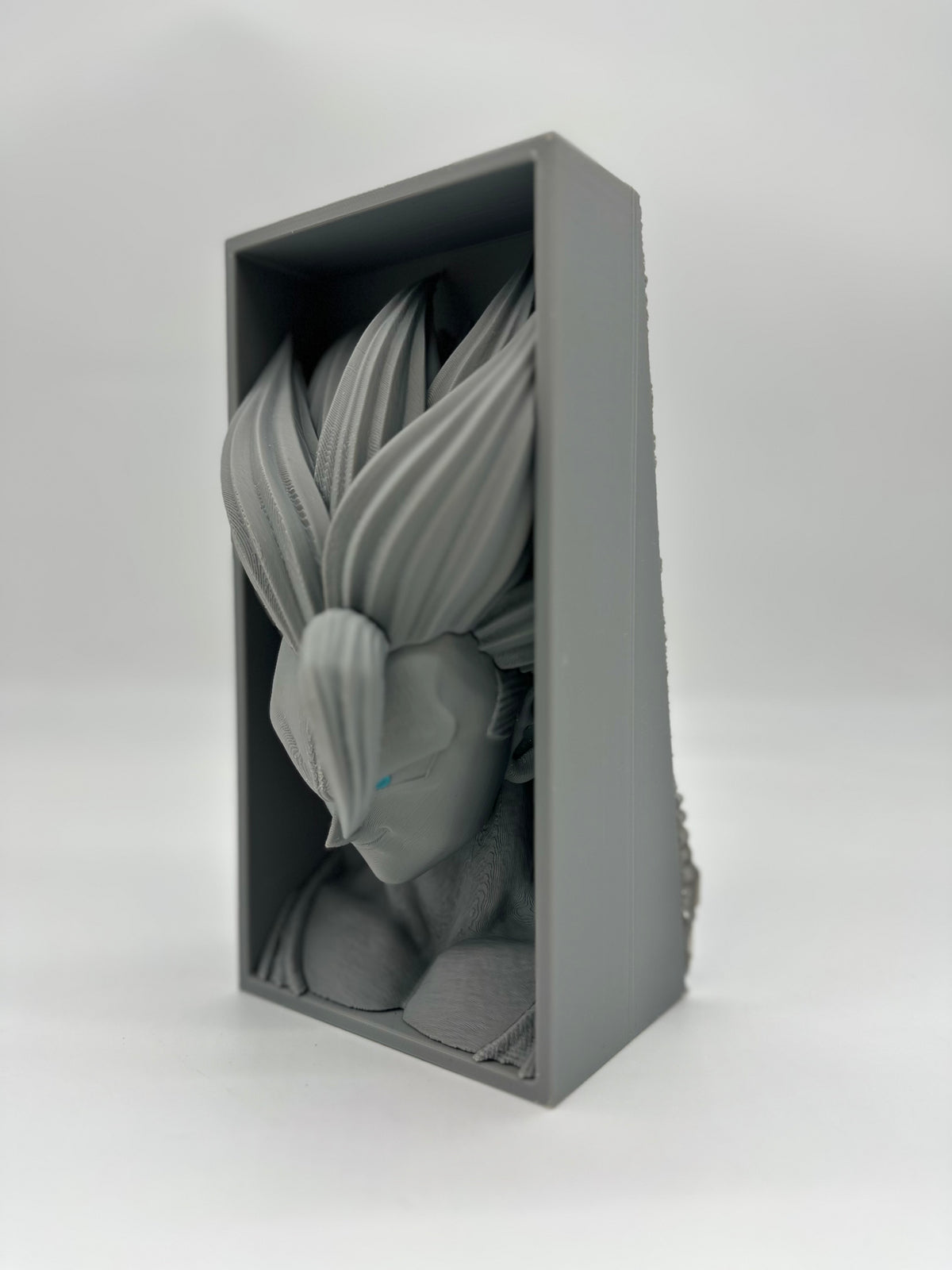 Cale Livre Dragon Ball Z