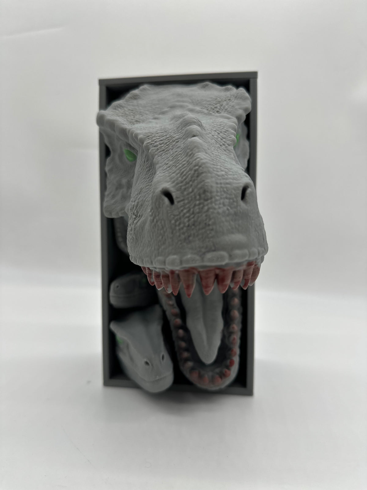 Cale Livre Jurassic Park