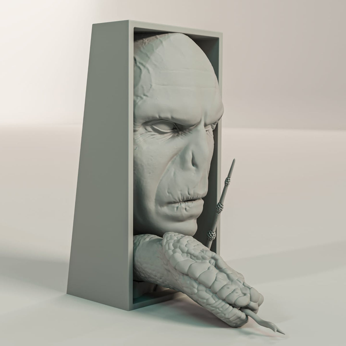 Cale Livre Harry Potter Voldemort