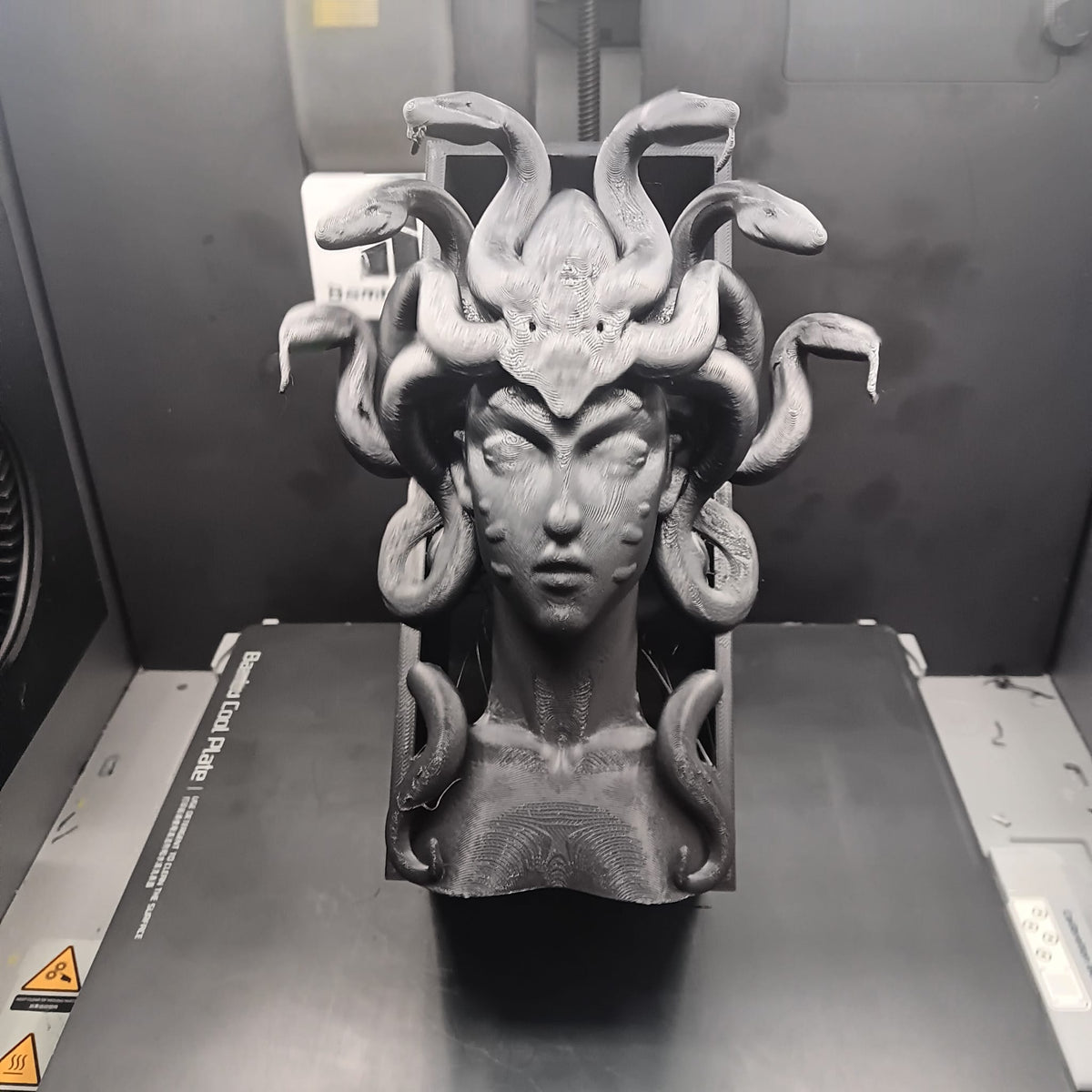 Cale Livre Medusa