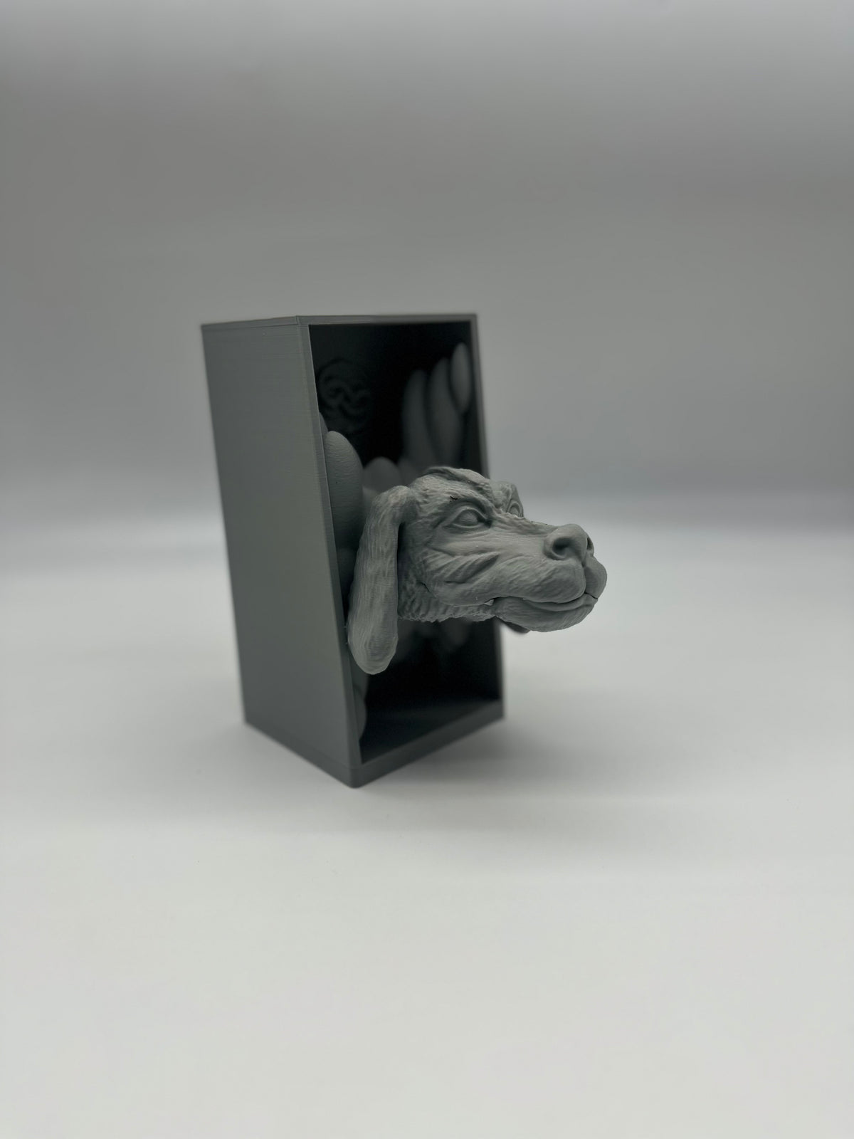 Cale Livre Falkor