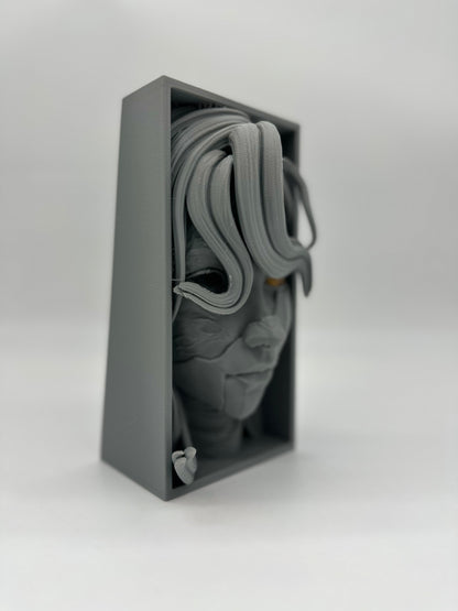 Cale Livre Expédition 33 Alice