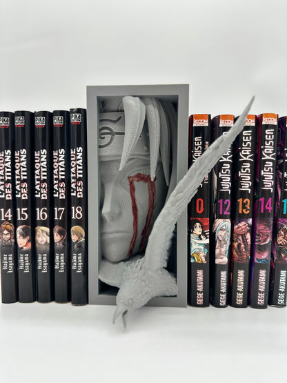 Cale livre Naruto