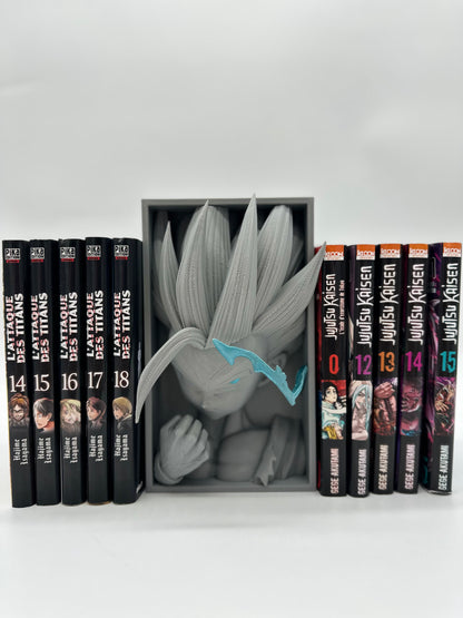 Cale Livre Dragon Ball Z