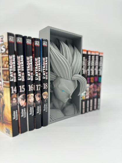 Cale Livre Dragon Ball Z