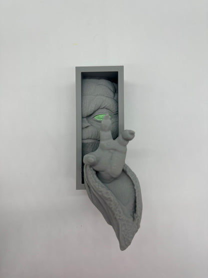 Cale Livre Star Wars Maitre Yoda