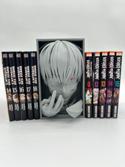 Cale Livre Tokyo Ghoul Kaneki