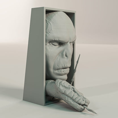 Cale Livre Harry Potter Voldemort