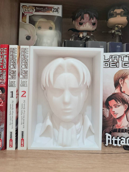Cale Livre l'Attauqe Des Titans Livaï