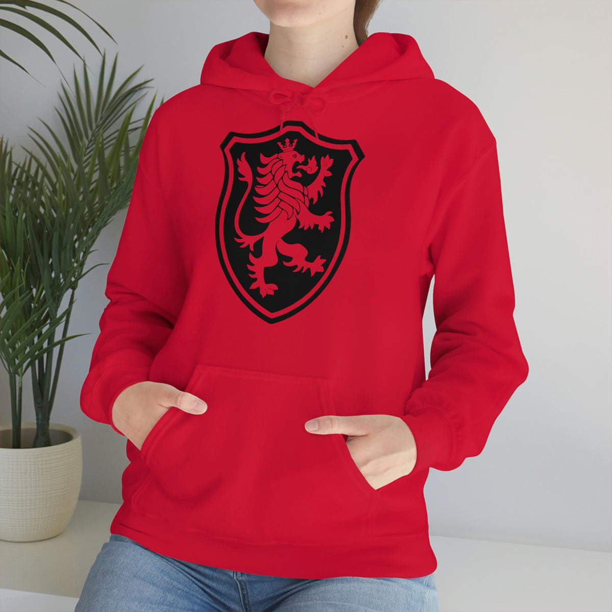 COMPAGNIE AIGLE D'ARGENT